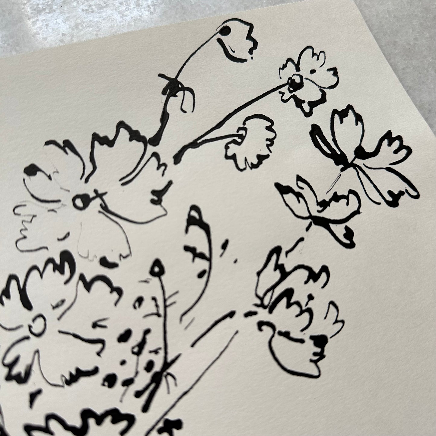 India Ink Cosmos in Vase