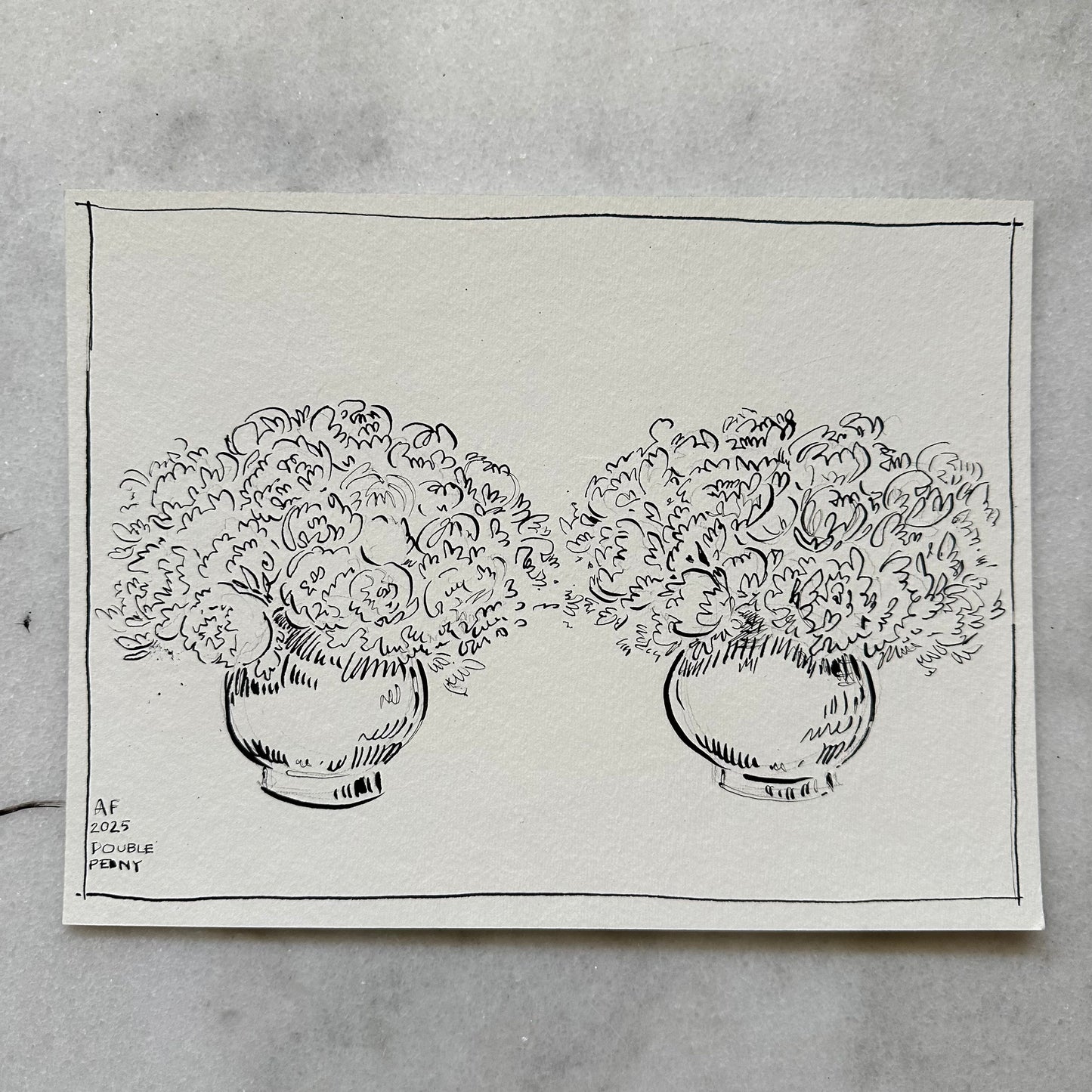 India Ink Double Peonies