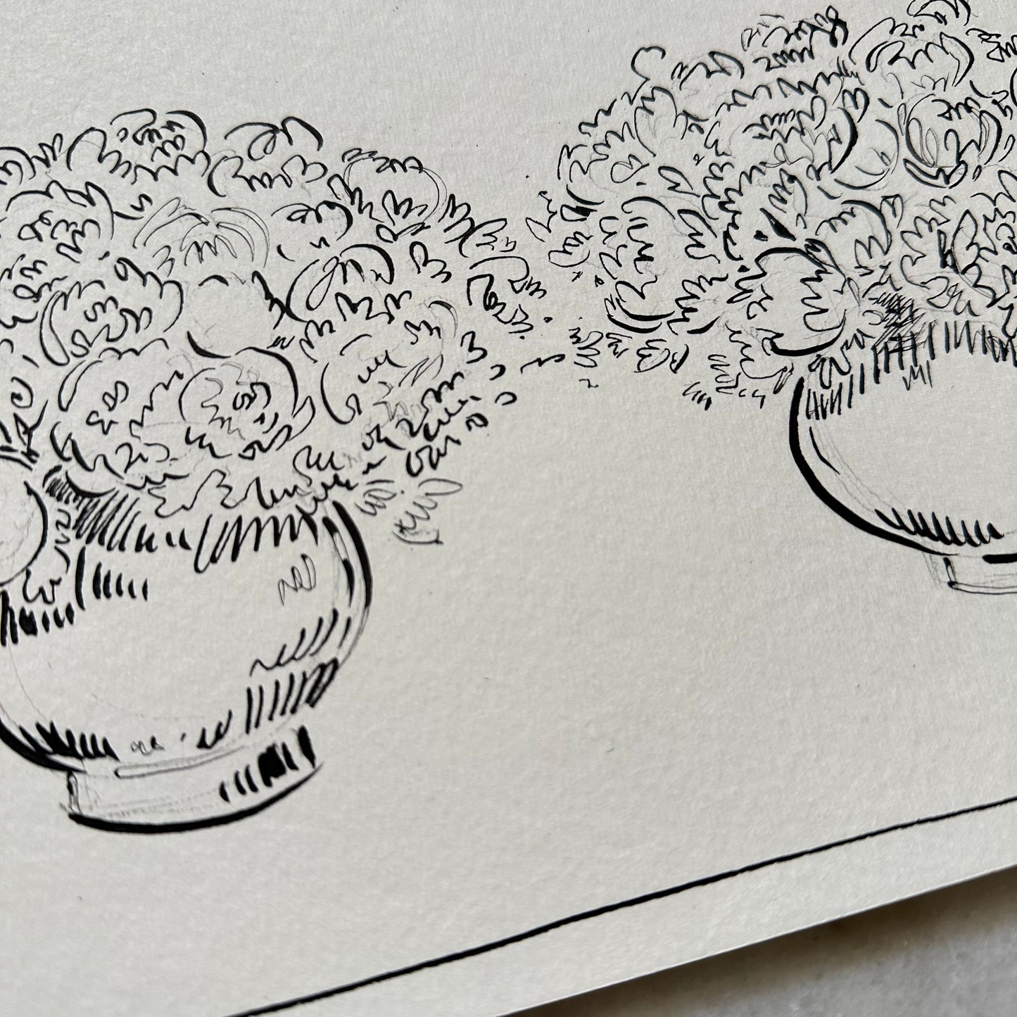 India Ink Double Peonies