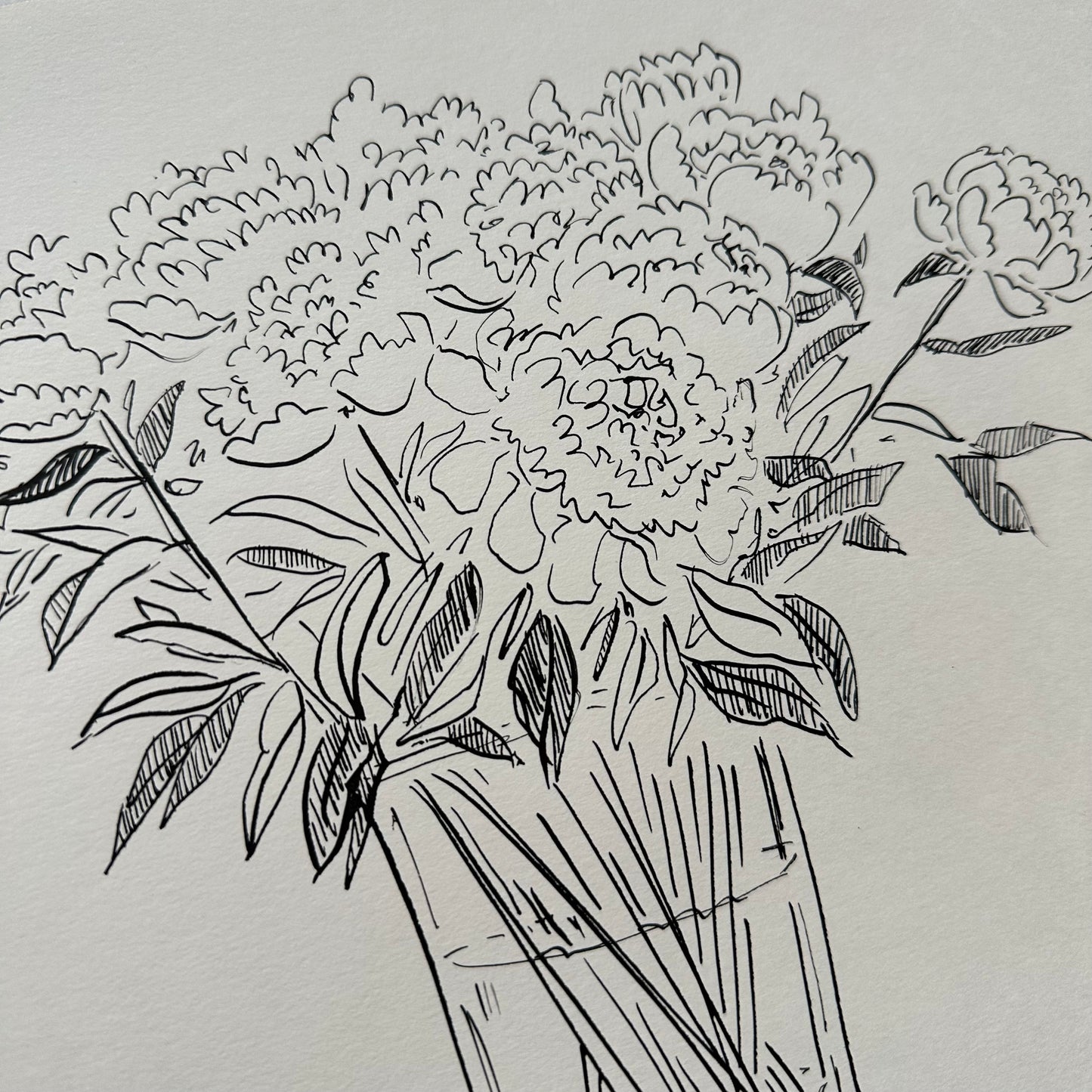 India Ink Peonies in Vase