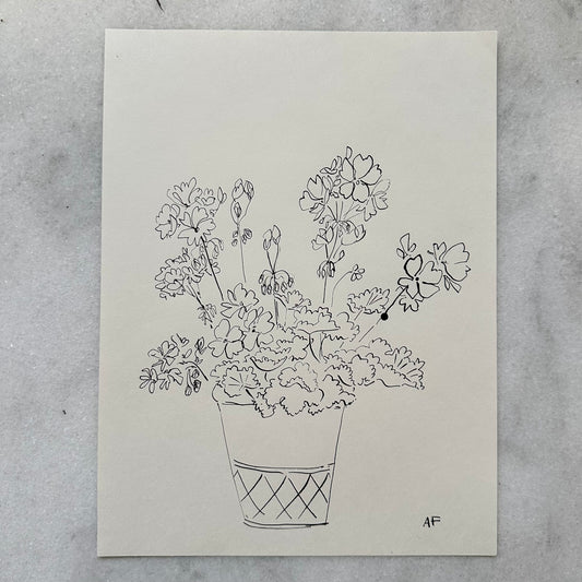 India Ink Potted Geraniums